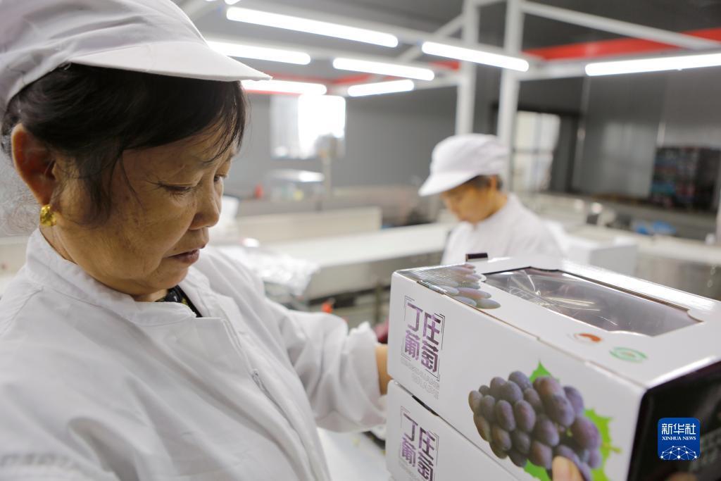 开户就送体验金